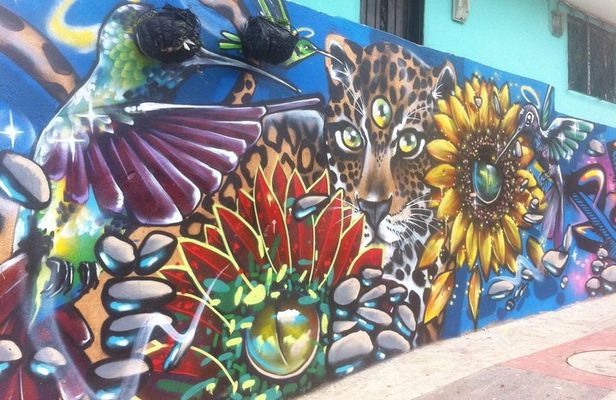 Full Day Private Medellin City, Street Art and Food Tour