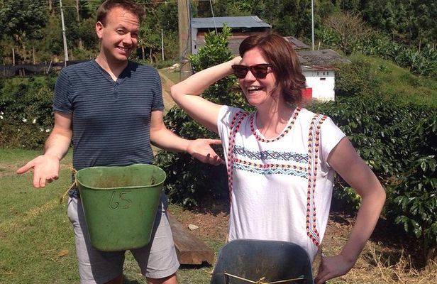 Private Full-Day Coffee Tour to Palmitas farm near Medellín