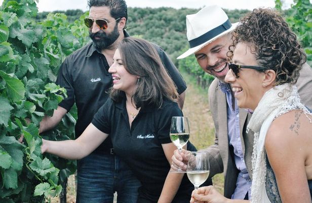 Semi-Private Wine Discovery Tour in Chania