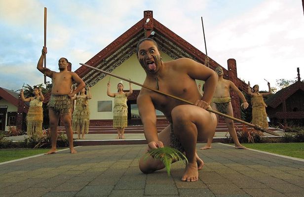 Tauranga Private Excursion: Rotorua -Te Puia-Geysers & Kiwi's