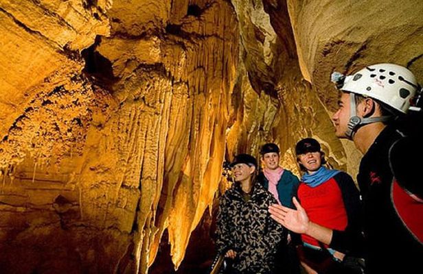 Waitomo Caves Private Driver for Tour