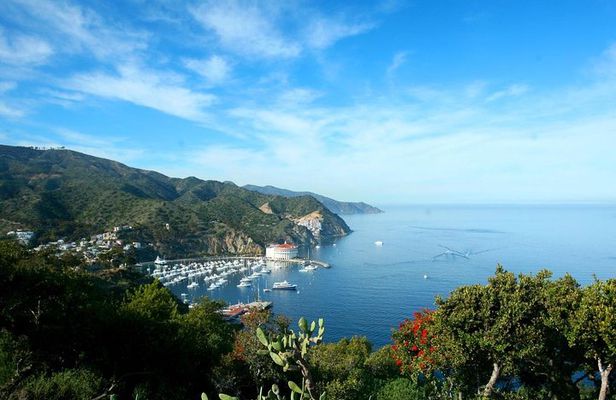 Catalina Island Trip with Hotel transfers & Optional tours