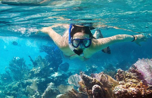 Cozumel Snorkeling Tour at Palancar & Colombia Reefs and El Cielo