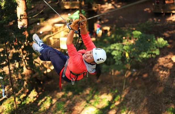 Lane Poole Park Dwellingup - Tree Ropes Course