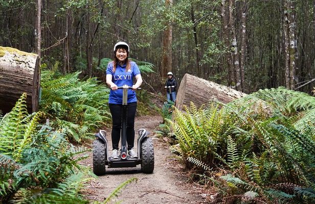 Launceston: Hollybank Treetops Adventures - Segway Tour