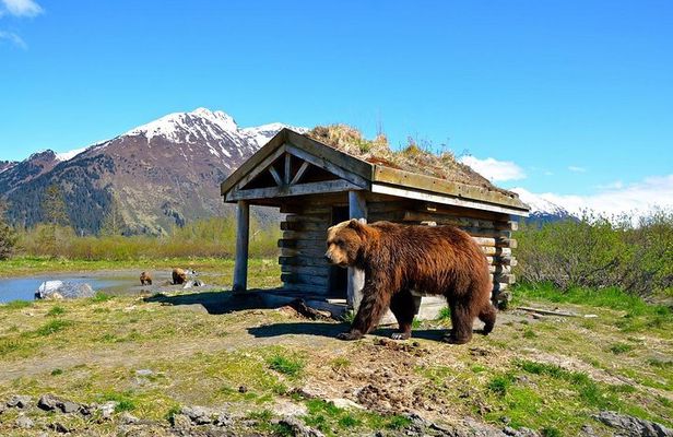 Anchorage to Whittier Cruise Transfer and Private Tour