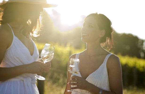 Hunter Valley Wine Tour from Sydney with Lunch and 3 Cellar Door Tastings