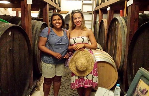 Private Tour: Ancient Akrotiri and Santorini Wineries Tour