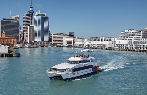 Auckland Harbour Cruise