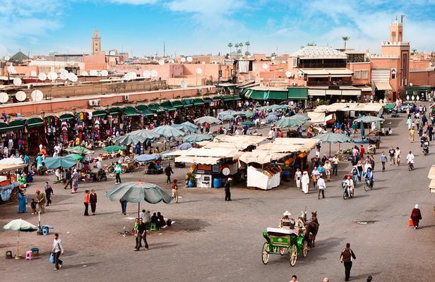 Marrakech Guided Day Trip from Casablanca: Djemaa el-Fna Square and Bahia Palace