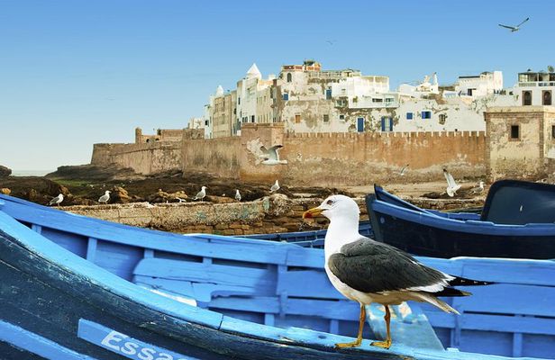 Full-Day Excursion to Essaouira from Marrakech