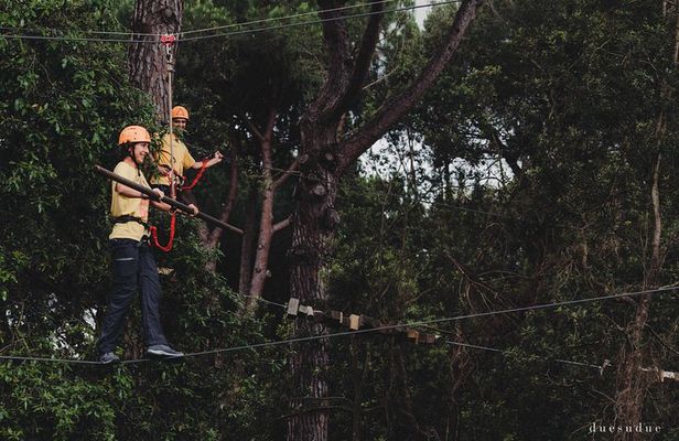 Adventure Park Il Pineto