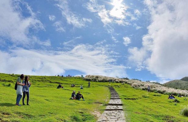 Private Yangmingshan & Beitou Tour from Taipei with Pickup
