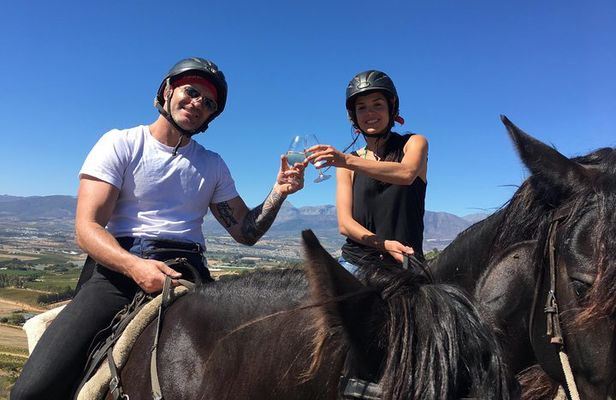 Half Day – Wine Tasting Horse Trail