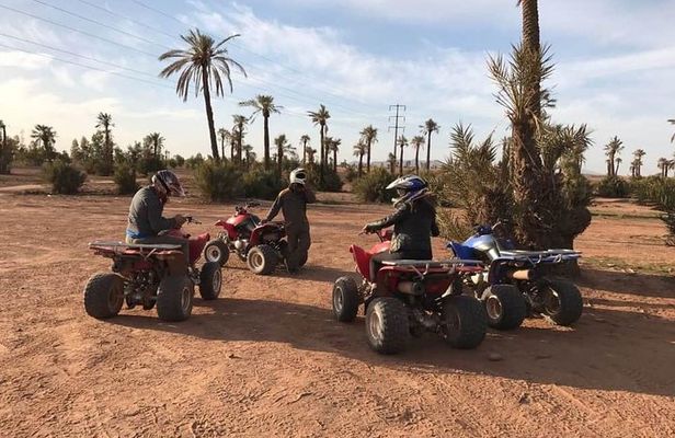 Half Day Tour Quad In Palm Golve , Desert ,Marrakech