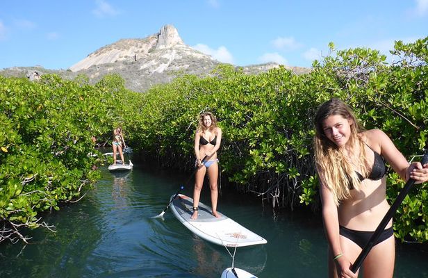 Guided paddleboarding (SUP) mangrove ECO tour for beginners