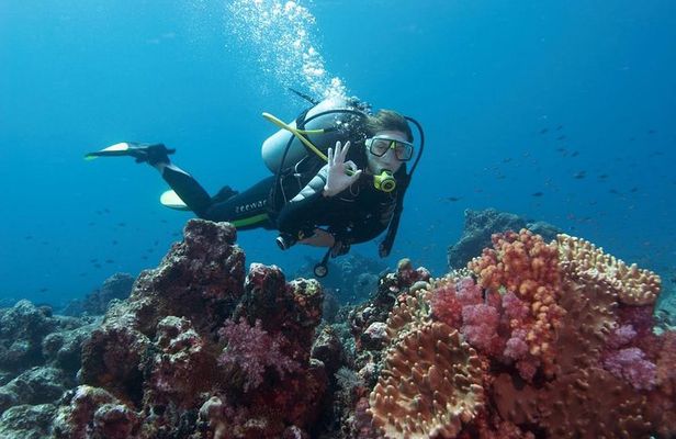 Marmaris Scuba Diving Experience with Lunch & Hotel Transfers
