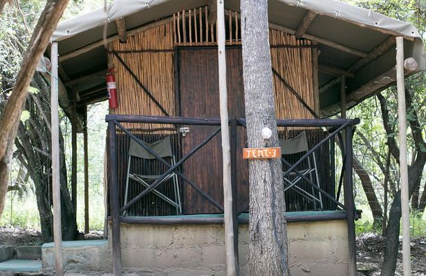 5 Day Budget Kruger National Park Safari