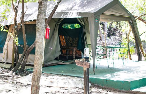 6 Day Budget Kruger National Park Safari