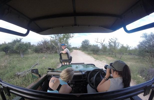 6 Day Classic Kruger National Park Safari from Johannesburg 