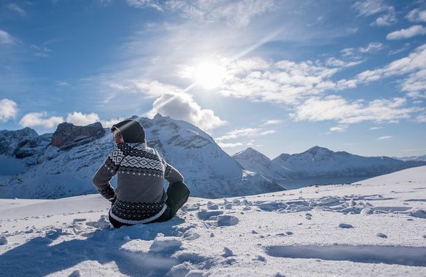 Tromsø: Arctic Fjord Trip with Scenic Lunch and Photo