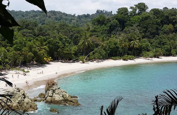 Manuel Antonio National Park Sightseeing and Wildlife Day Tour from San Jose