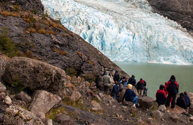 Balmaceda and Serrano Glaciers Sightseeing Cruise from Puerto Natales