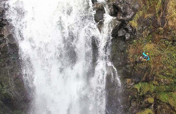 Waterfall Rappelling at Kulaniapia Falls: 120 Foot Drop, 15 Minutes from Hilo