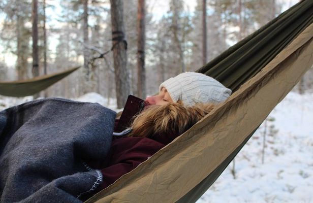 Cocooning in the HaliPuu forest: The ultimate Arctic hammock relaxation