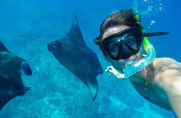 Snorkelling in Nusa Penida - Manta Point