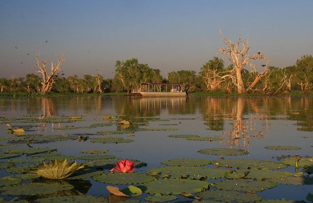 Corroboree Billabong Wetland Cruises - 2 hour Sunset Cruise