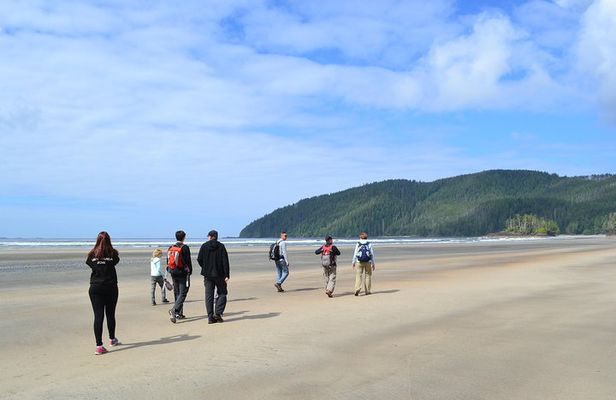 STUNNING San Josef Bay Tour in Cape Scott Provincial Park