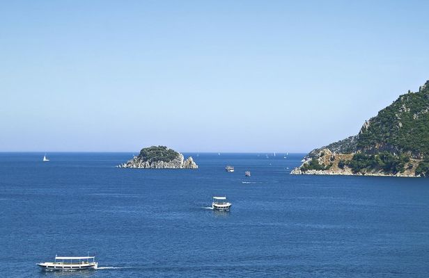 Live Guided Bosphorus & Black Sea Afternoon Cruise with Lunch