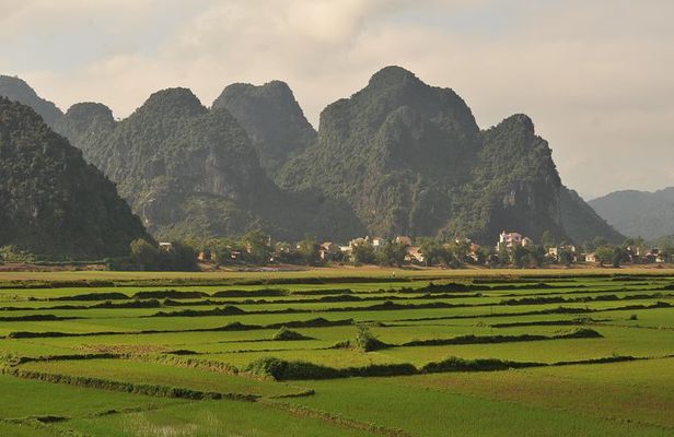 Tour to the caves ONE DAY tour to Phong Nha and Paradise caves