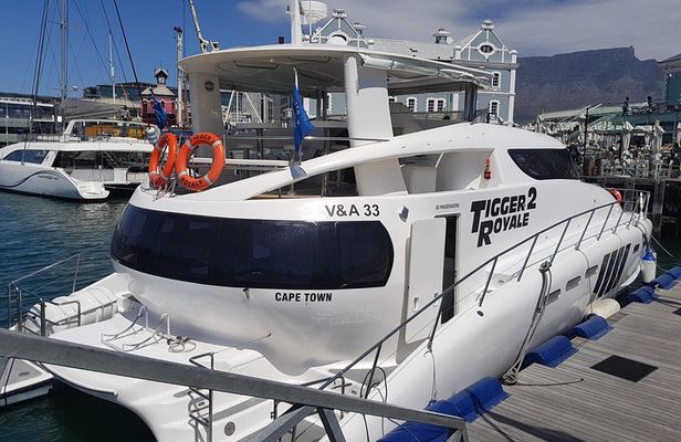 Sunset & Champagne Cruise for 2 pax on TIGGER 2 ( Guaranteed departure )