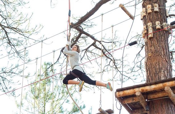 Flagstaff Extreme Adventure Course-Adult Course