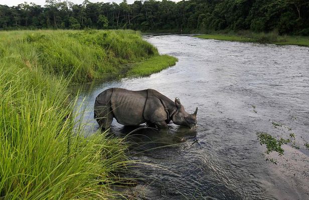 Budget Tour in Chitwan and Pokhara, Nepal
