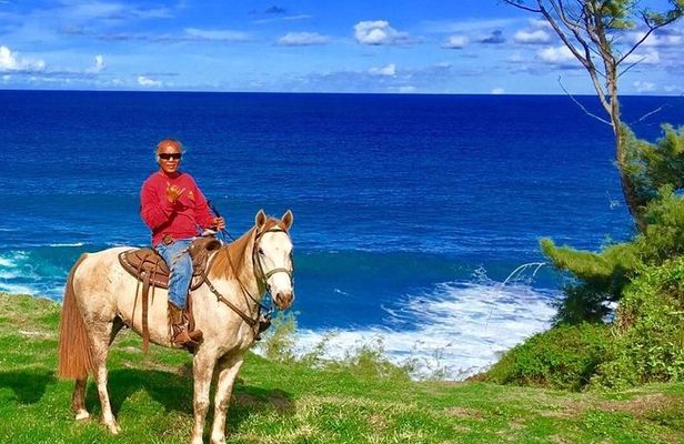 West Maui Mountain Waterfall and Ocean Tour via Horseback