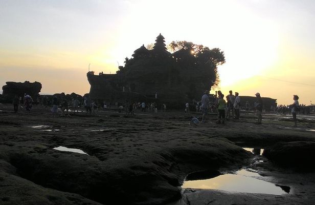 Bali in 1-Day : Rice Terrace, Volcano, Tanah lot - All Inclusive