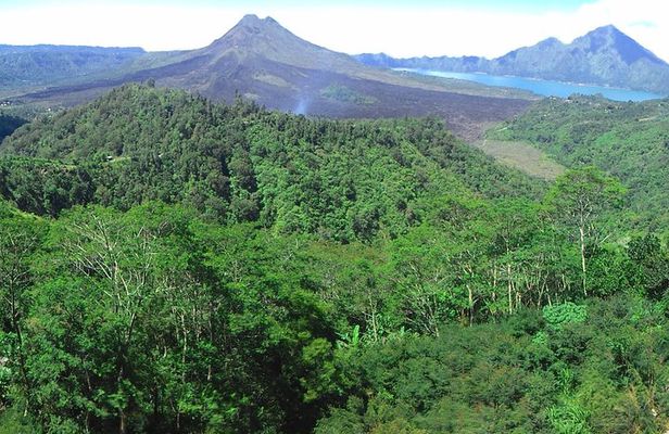 Bali Ubud & Kintamani Volcano Tour -All Inclusive