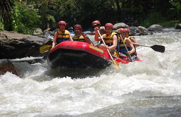 Bali Rafting + Rice Terrace + 1,5Hrs Balinese Massage + Lunch