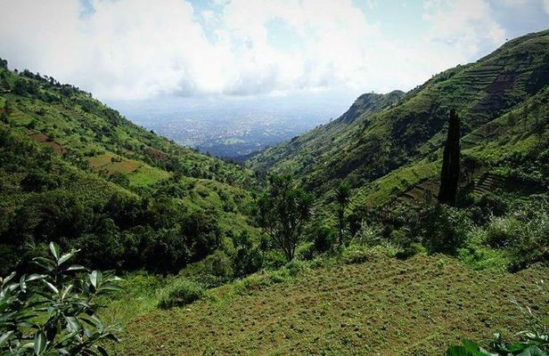 Day trip Hiking to Uluguru Mountains-Choma Waterfalls