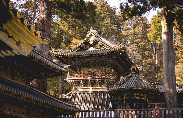 Nikko World Heritage Private Day Tour w/ English Speaking Driver