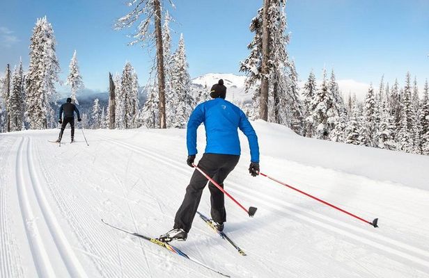 Small-Group Lapland Cross Country Ski