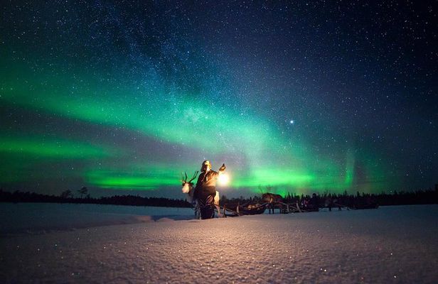 Aurora Hunting by Reindeer Sleigh