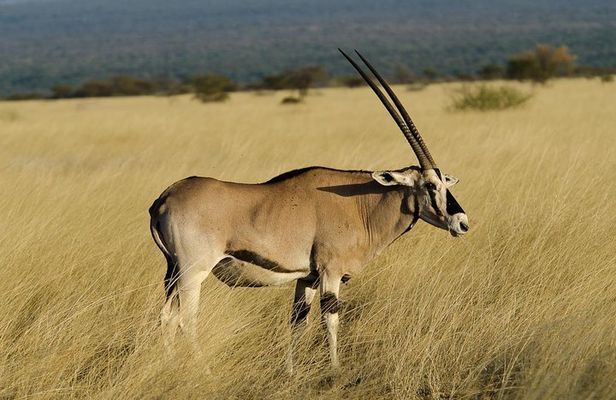 Awash National Park Tours