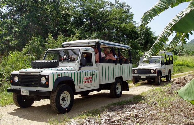 Mystic Island Safari