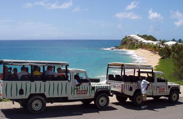 Island Safari Discovery