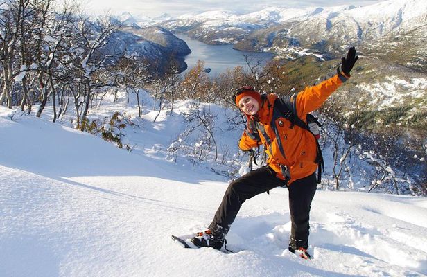 Snowshoeing - Winter Day Trip in Bodo, Northern Norway
