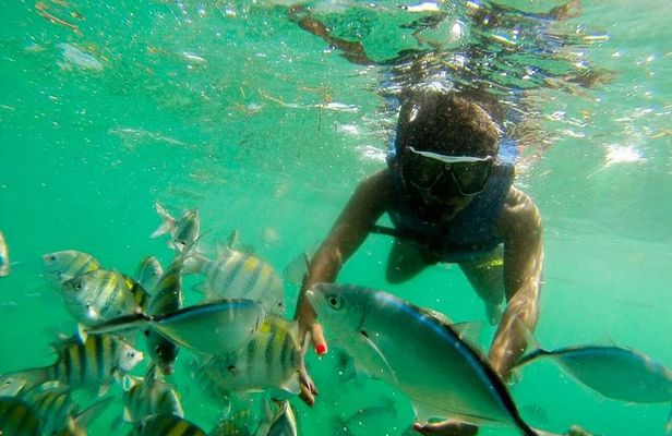 SPORT FISHING BOATS - Bluemarine Punta Cana